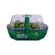 Shine Muscat Grape Pack (Premium)