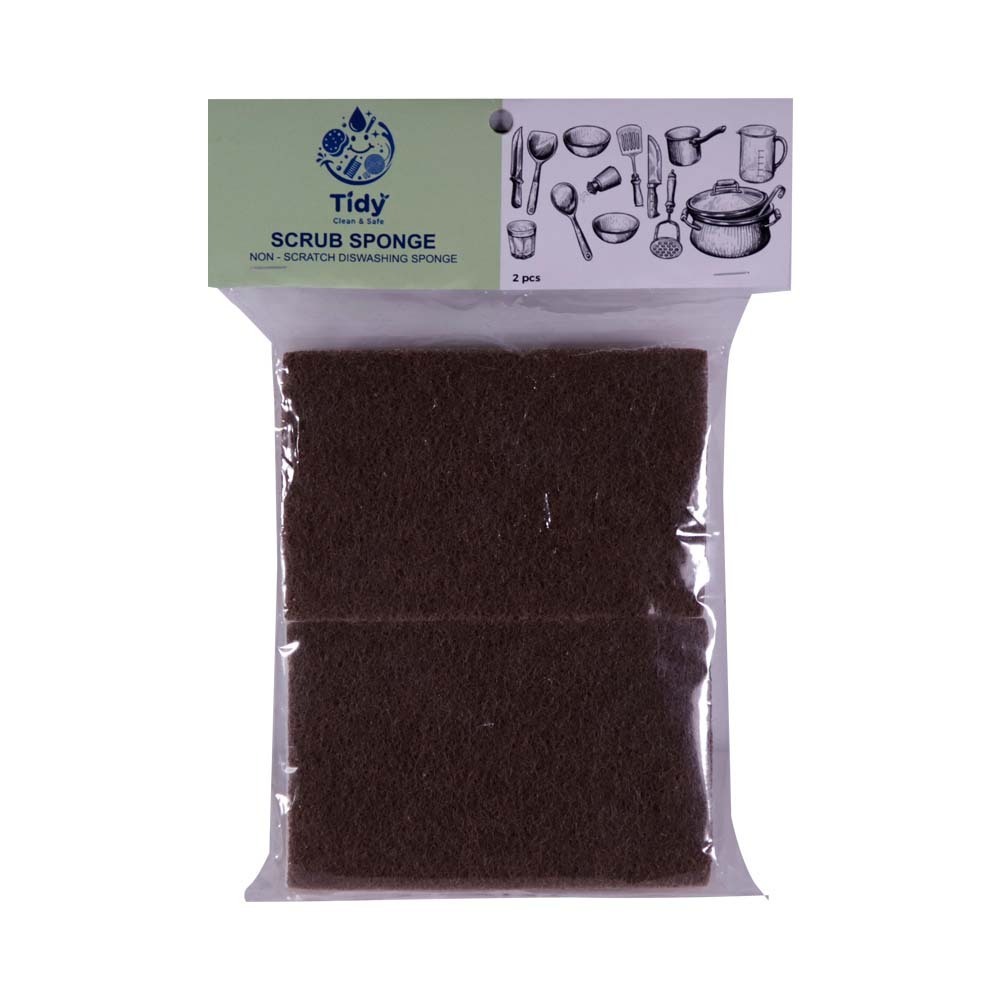 Tidy Sponge Scouring Pad 2PCS