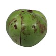 Elephant Apple