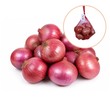 Onion 800G (L)