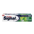 Signal Toothpaste Action 123 Salt Herbal 175G