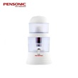 Pensonic Water Filter 15LTR PMP-15