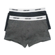 Century Trunk 2`S (XL) Gray No.002