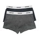 Century Trunk 2`S (XL) Gray No.002