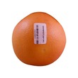 Grapefruit (သို့မဟုတ်) ရှောက်ခါးသီး 
