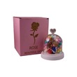 Light Table Decoration A021576