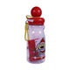 Bs Water Bottle Character Ast No.8185
