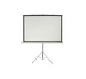 Euro Projector Tripod Screen 70X70IN