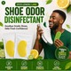 Beauty House Shoes Deodorant Sticker (10PCS)