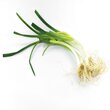 Chive Roots 200G