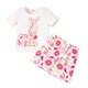 Toddler Girl Floral Zebra Print Short-Sleeve Tee And Shorts Set 2PCS 20655757
