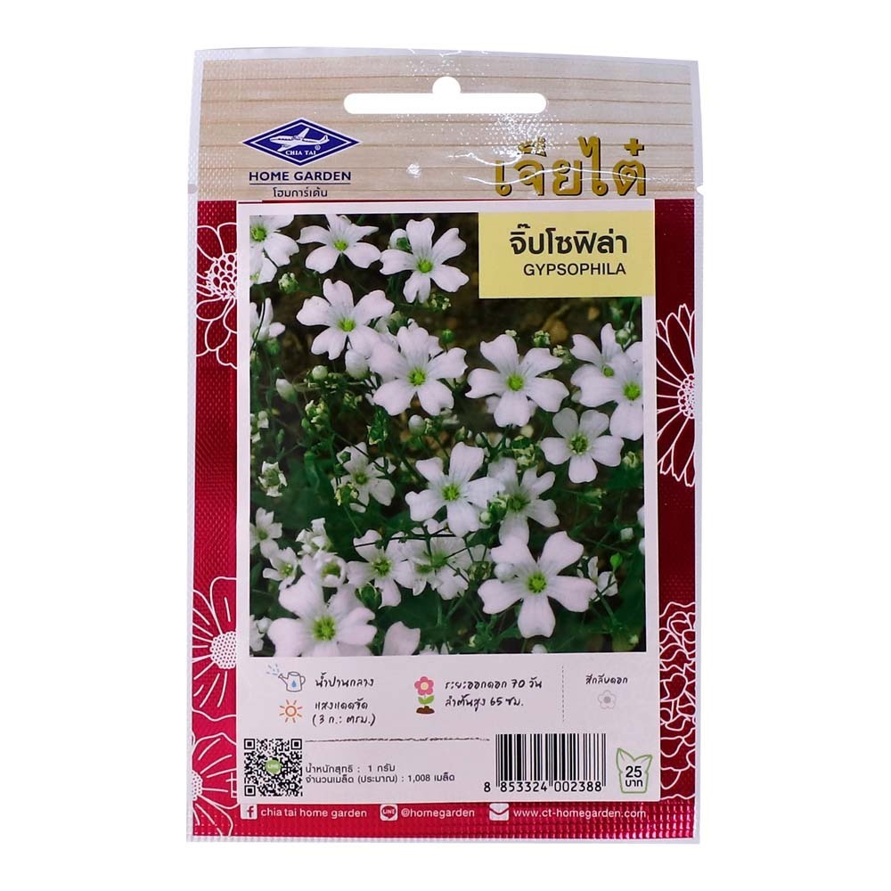 Home Garden Flower Seed (Gypsophila)