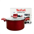 Tefal  Tefal Cookware Character Stew Pot 24cm  C68246