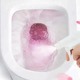 KPT Toilet Cleaner Spray (Sakura) KPTBPC00050