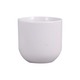 Porcelain Tea Leave Cup 3x2IN (Plain)