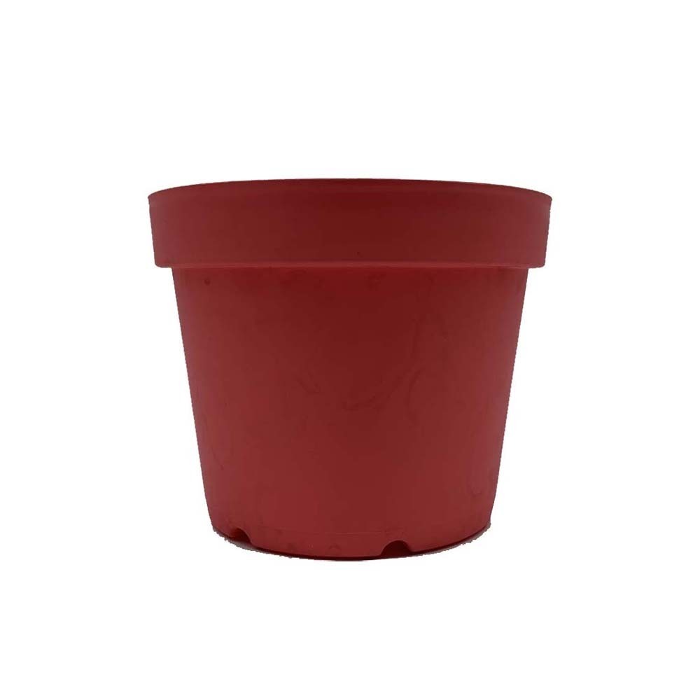 BABA BI-TN-3450-A Pot  Soffy Pink 712154