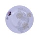 Minh Chau Dinner Plate 10in F301