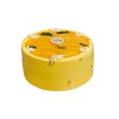 Seasons Golden Mango Cake 500G