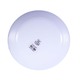 Larah Orbit Dinner Plate 11in