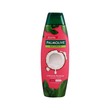 Palmolive Intensive Moisture Coconut Cream Shampoo & Conditioner 180ML