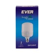 Ever Daylight Bulb 10W B22 (Pin)