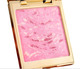 Blush C01 Shimmer Light Pink 10G