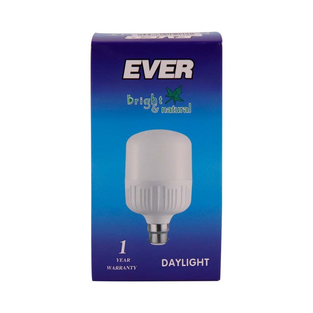 Ever Daylight Bulb 10W B22 (Pin)