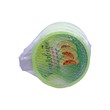 FM Deodorant With Net Cantaloupe 70G x 4