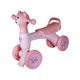 BP Balance Bike No.100