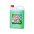 Cleanlux Liquid Soap (Green) 5 LTR