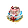 Seasons Cancer Cake (F) 500G