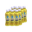 ION Plus Electrolyte Mixed Fruit 250ML x 12