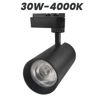 Wellmax Eagle Eye Premium Track Light Black 30W 6500K