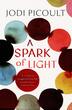 A Spark Of Light (Author by Jodi Picoult)