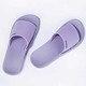 Ipanema Anat Classic Slide Fem (No-9) Lilac 183583BE63009