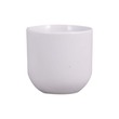 Porcelain Tea Leave Cup 3x2IN (Plain)