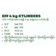EFF Gas Cylinder Green 4KG (8 x 16IN)