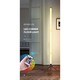 RGB Smart Ambience Floor Lamp Remote Control ESS-0000746