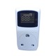 Power Plus Safeguard 3300W