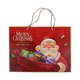 PK X'Mas Present Bag (L)