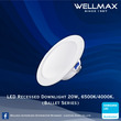 Wellmax Ballet Series LED Recess Round Downlight 20W L-DL-0320