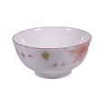 Cherry Soup Bowl 6in