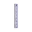 BM Plastic Ruler 8in