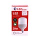 Leo Lamp LED Lighting Bulb 30W B22
