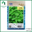Harvest Shop ပင်စိမ်းမျိုးစေ့ LF 012