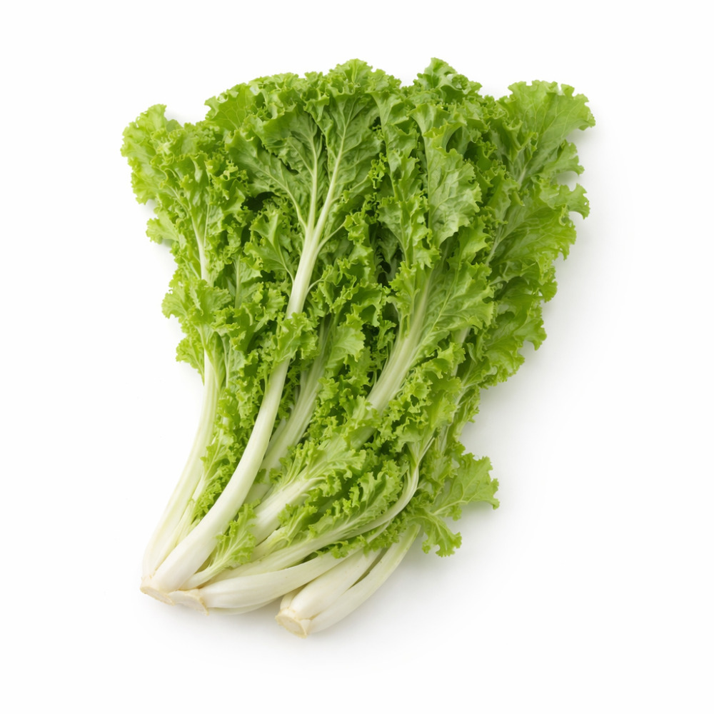 Golden Chinese Cabbage