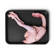 Fresh Free Range Chicken With Head & Feet