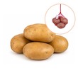 Potato 800G (L)
