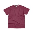 Tee Ray Plain T-Shirt PTS - S - 25 (L)