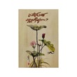 U Dan Thit Short Stories-1 (Group)